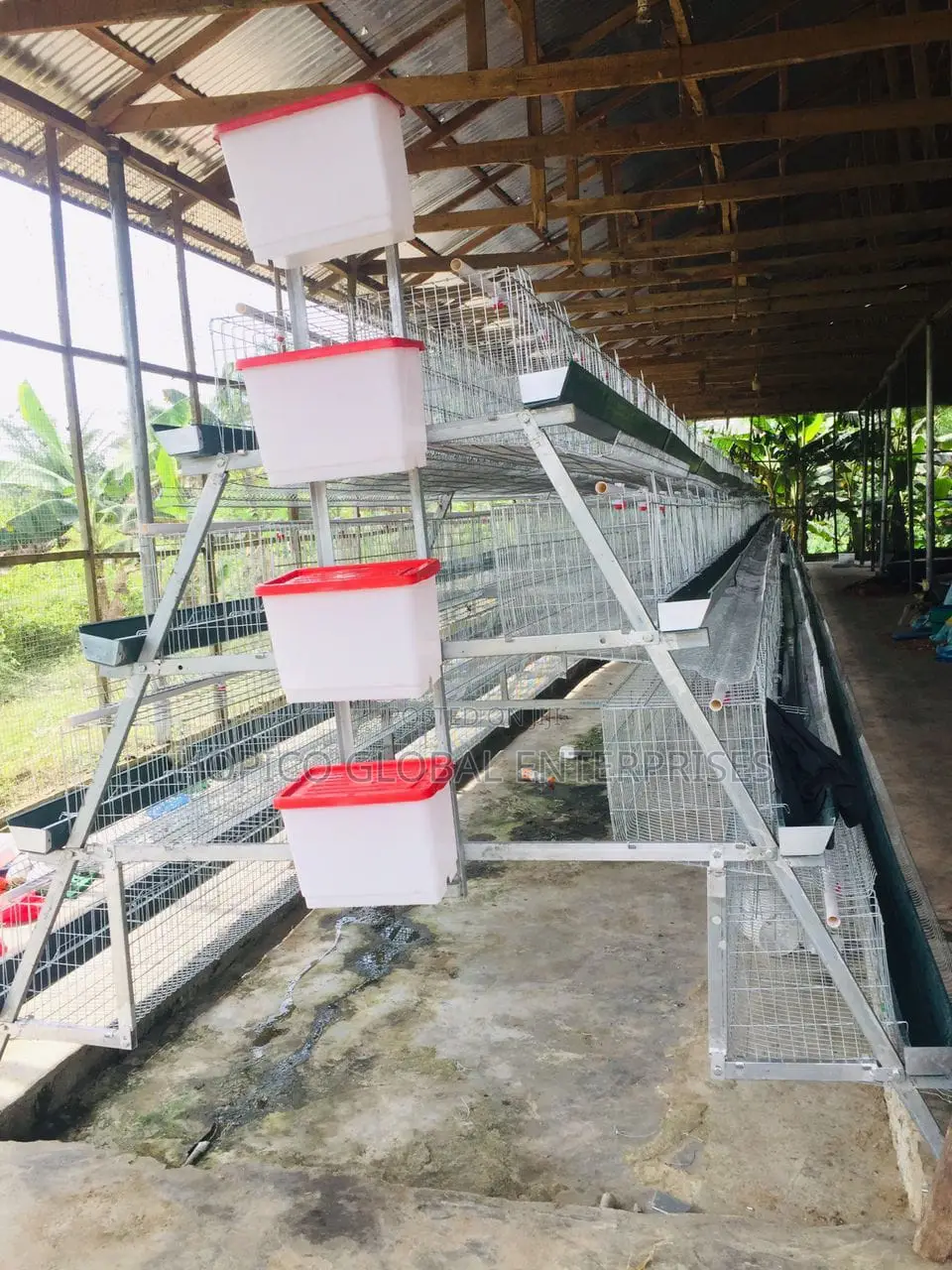 Imported Battery Cage