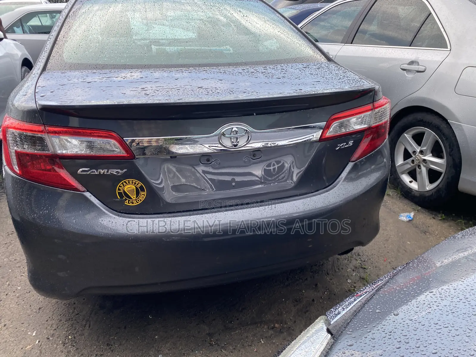 Toyota Camry XLE 4dr Sedan (2.5L 4cyl 6A) 2013 Gray