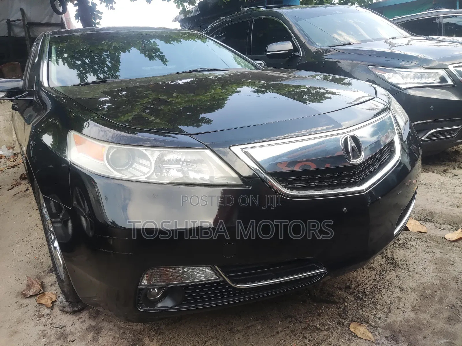 Acura TL 4dr Sedan (3.5L 6cyl 6A) 2014 Black