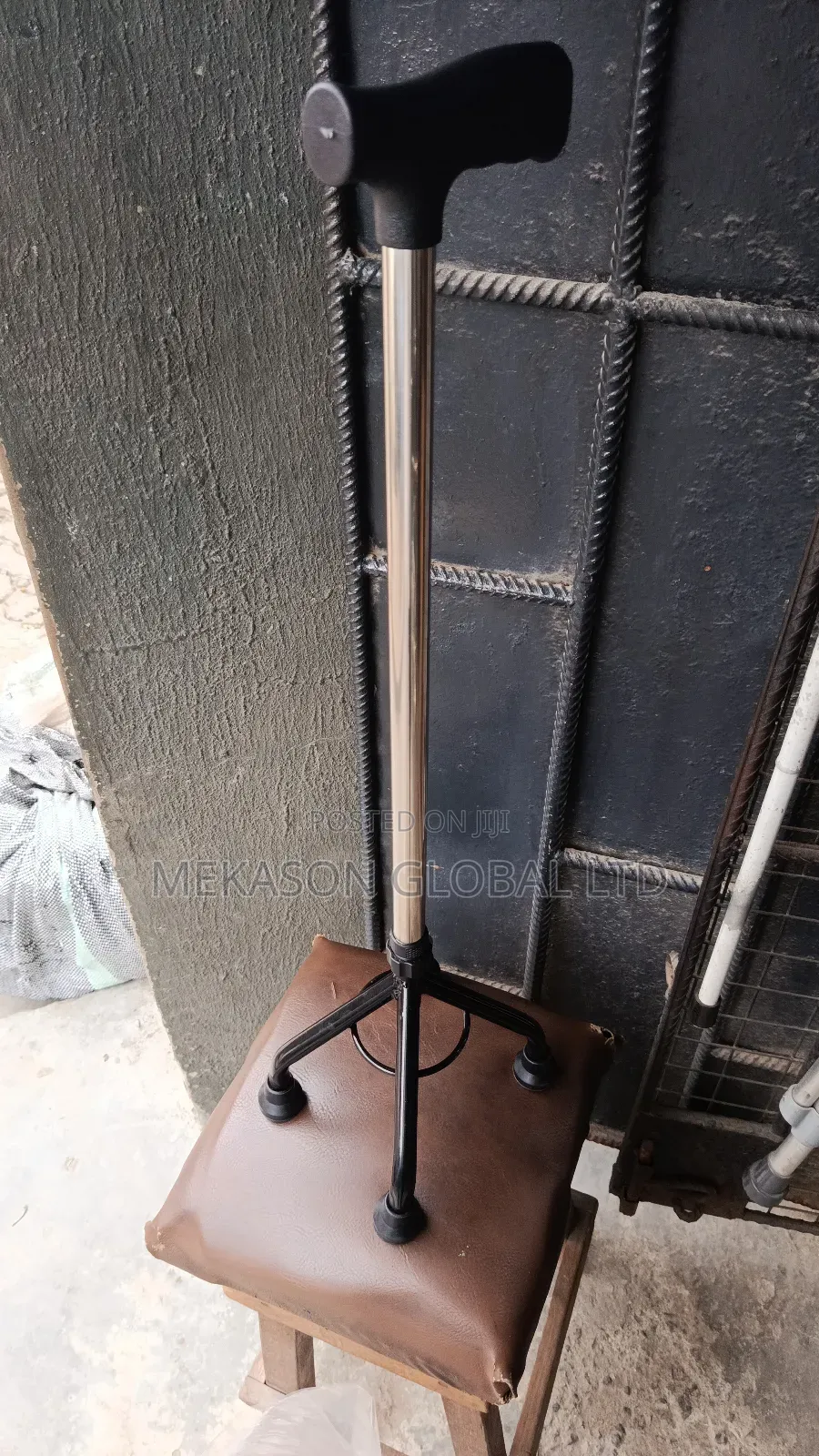Walking Stick