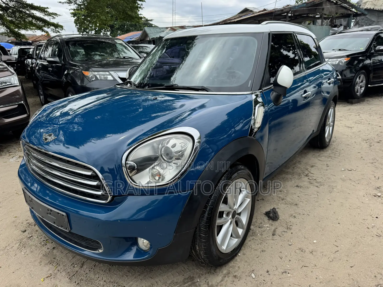 Mini Countryman 2011 Blue