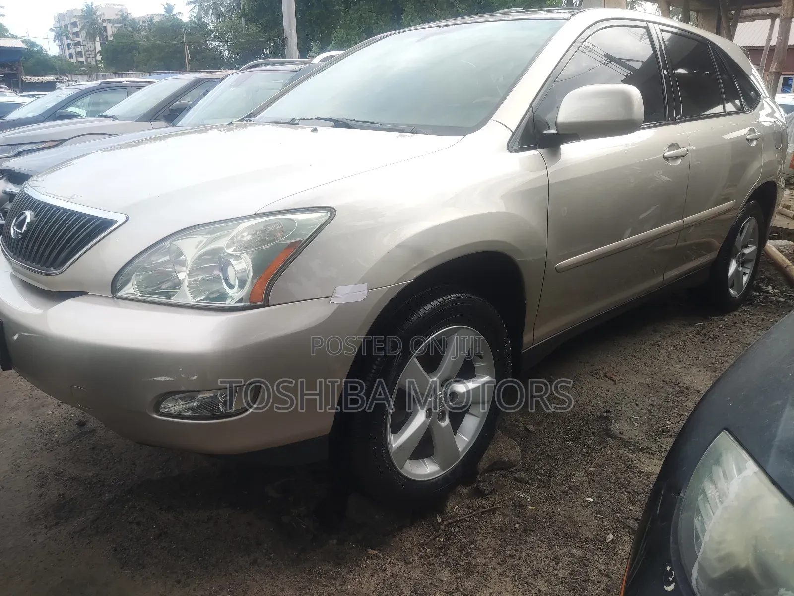 Lexus RX 330 2006 Gold