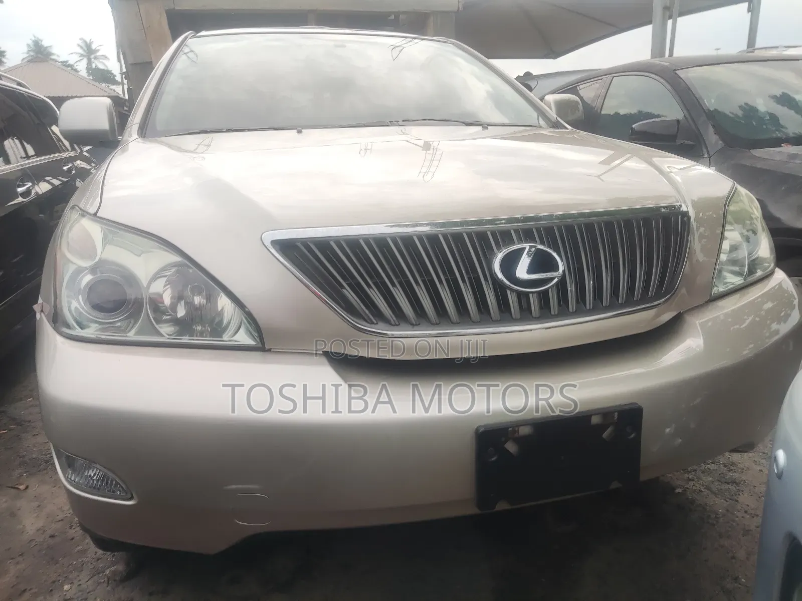 Lexus RX 330 2006 Gold