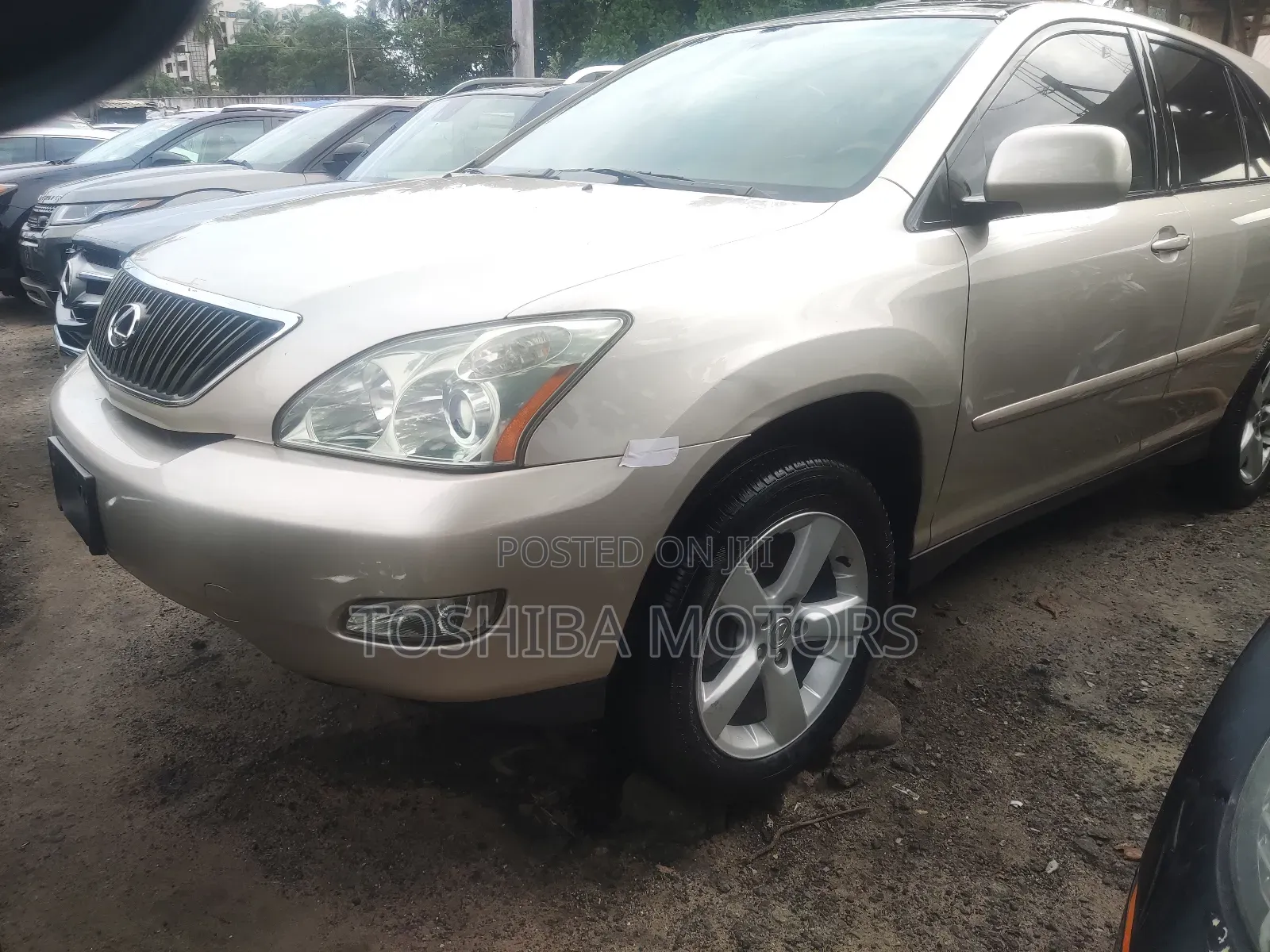 Lexus RX 330 2006 Gold