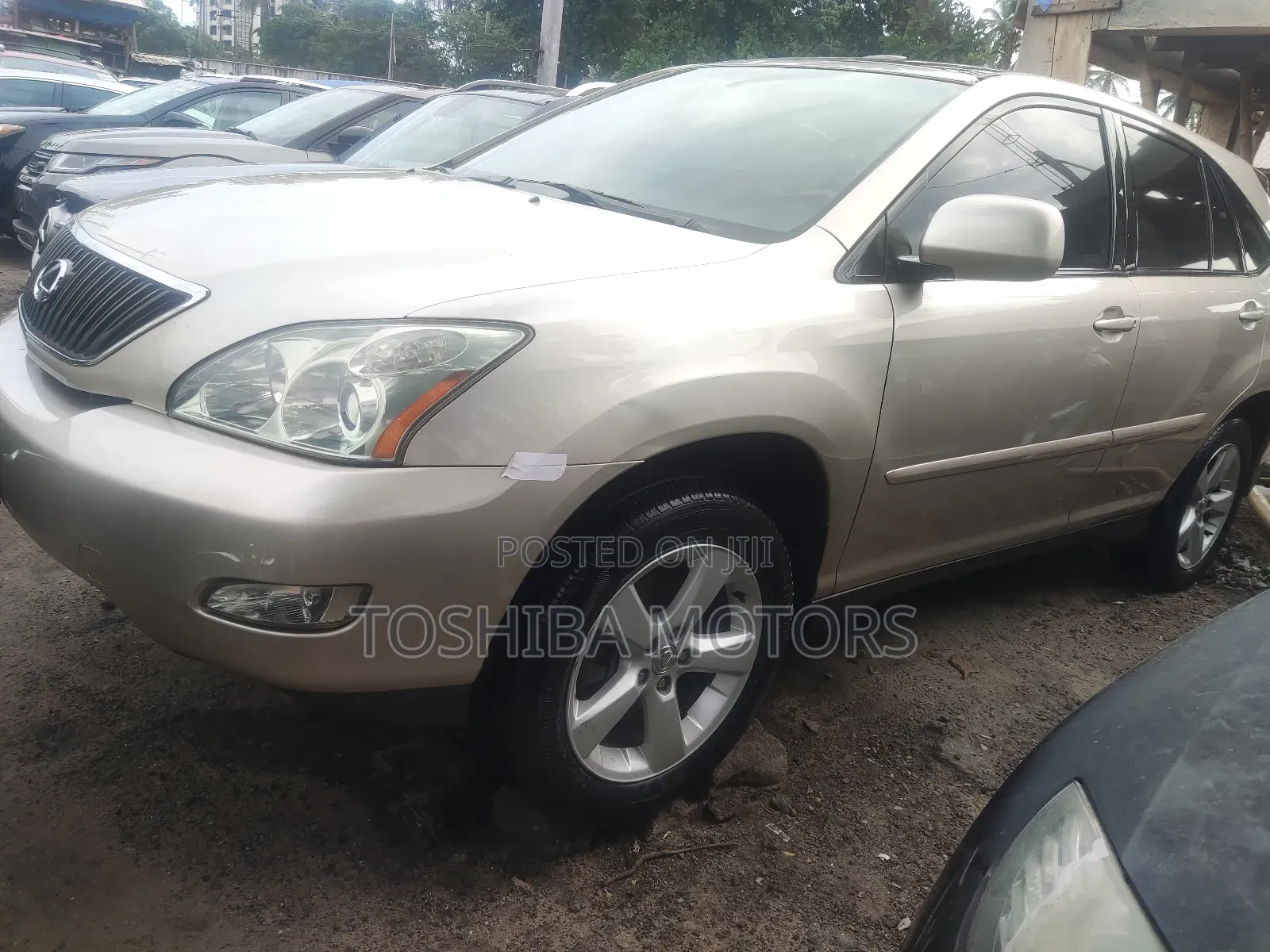 Lexus RX 330 2006 Gold