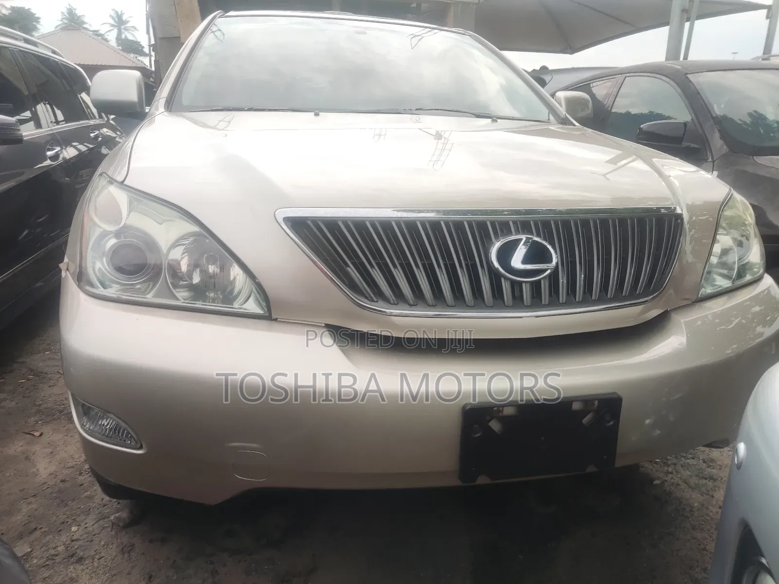 Lexus RX 330 2006 Gold