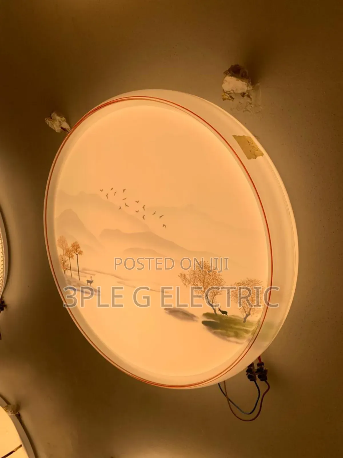 Morden Led Ceiling Flush