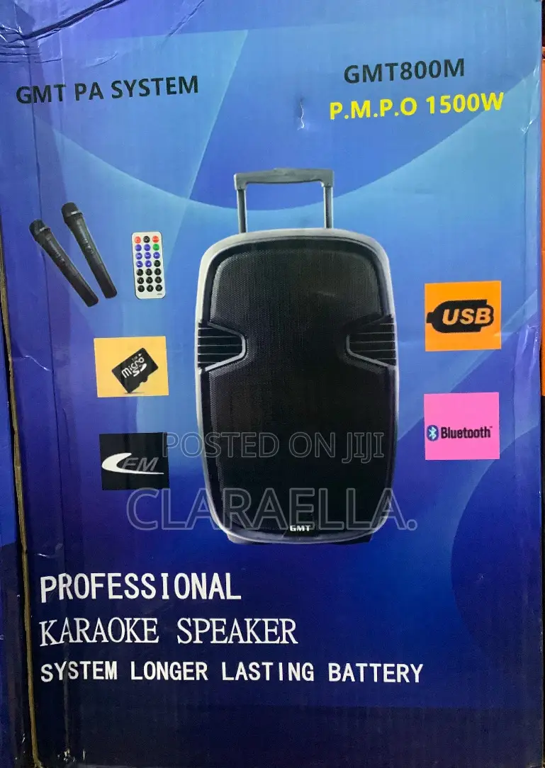 GTM 800m Professional Karaoke Pa System