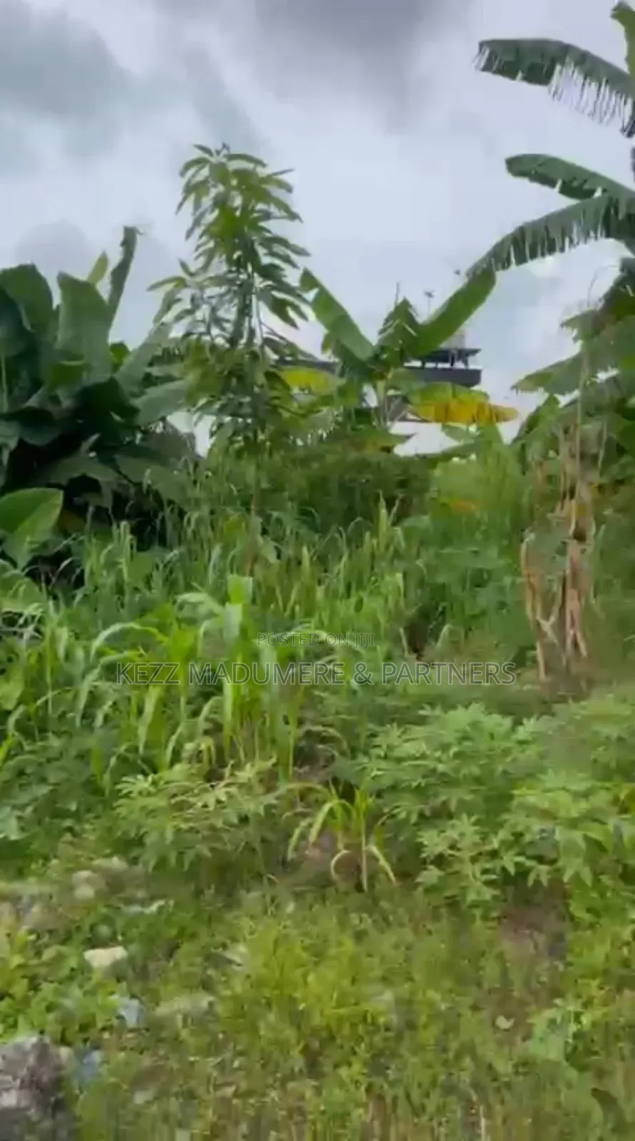 For Sale : 4 Plots at Uyo Street, Off Stadium Road, Ph