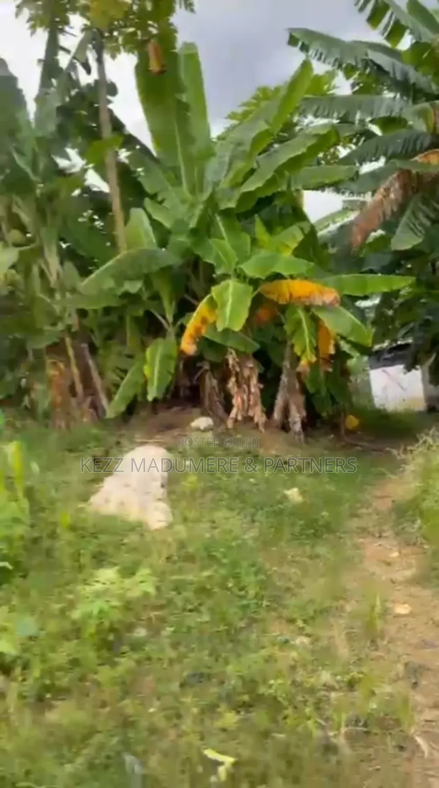 For Sale : 4 Plots at Uyo Street, Off Stadium Road, Ph