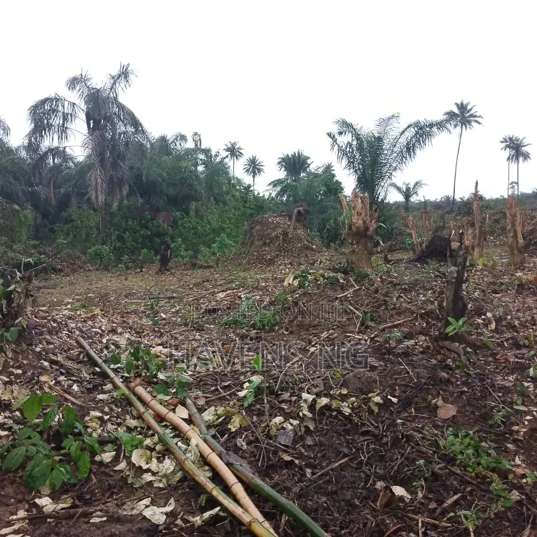 Commercial Plot of Land for Sale – Ada George, Port Harcourt