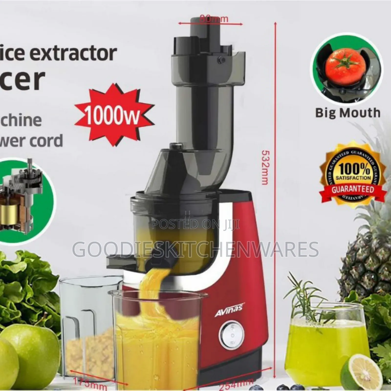 Avinas Slow Juicer Small Mouth