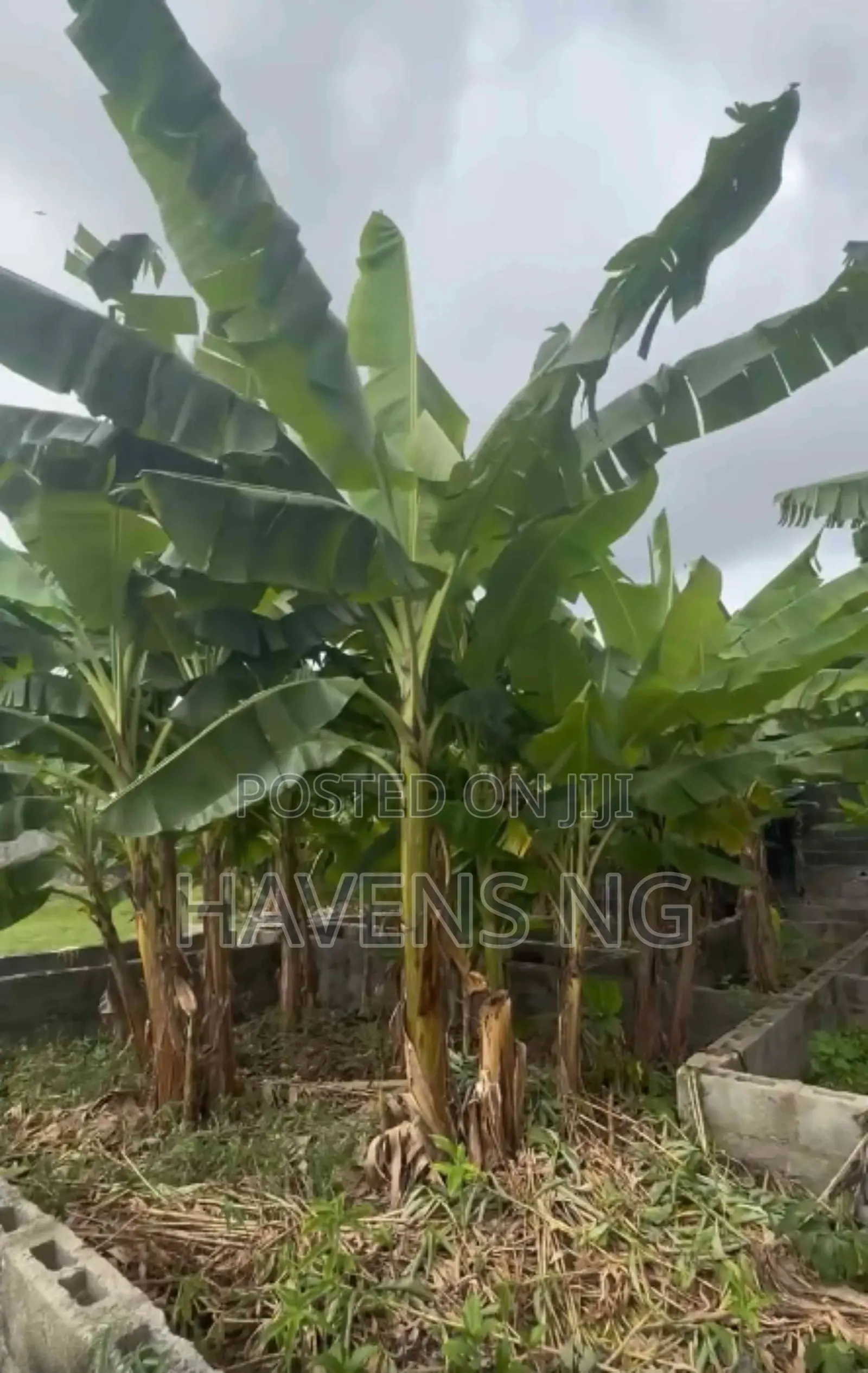 1 Plot of Land for Sale – Eliozu, Port Harcourt