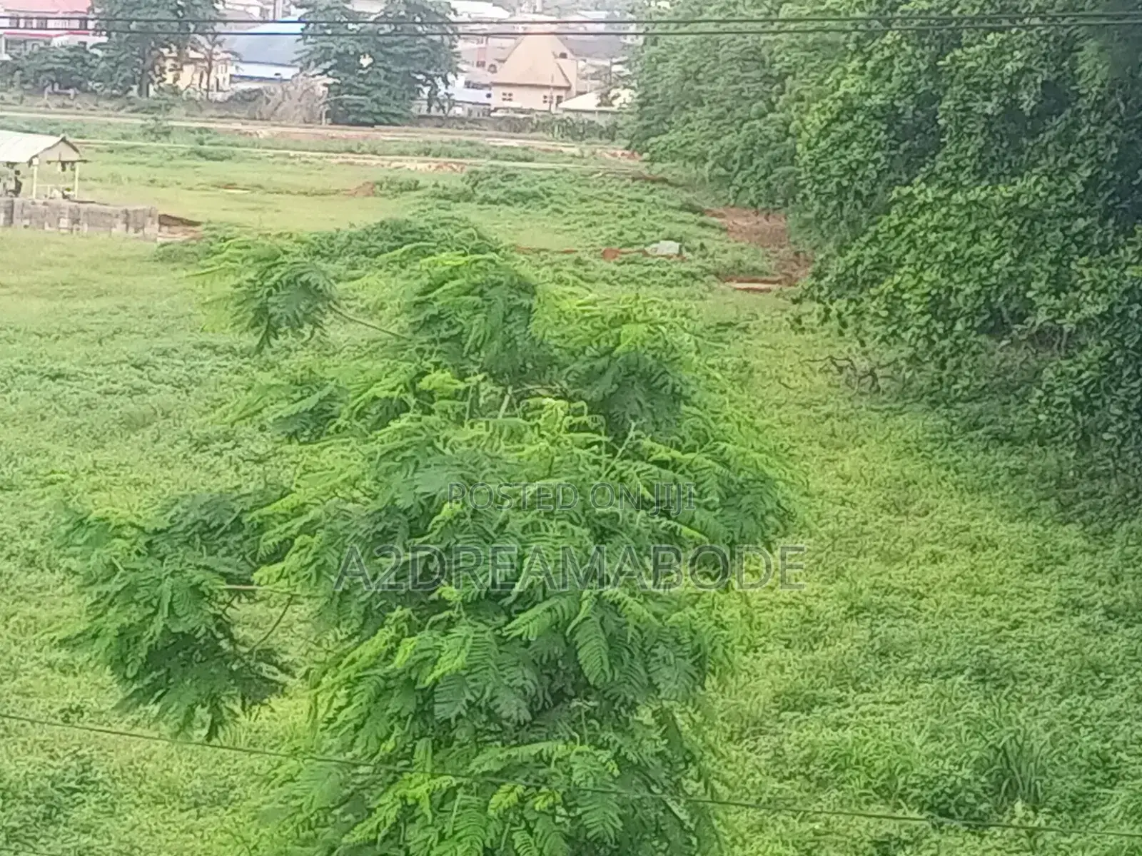Exceptional Plot of Land