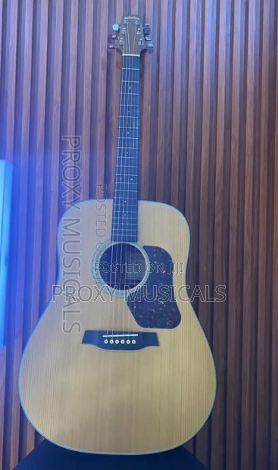 Walden Acoustic Guitar 