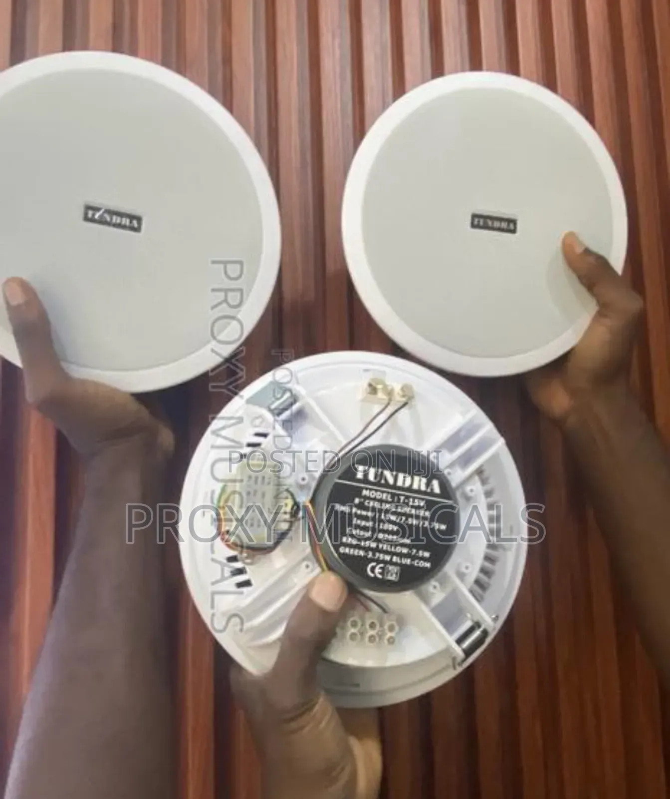 Tundra Ceiling Speaker 15 Watts Big Magnet 