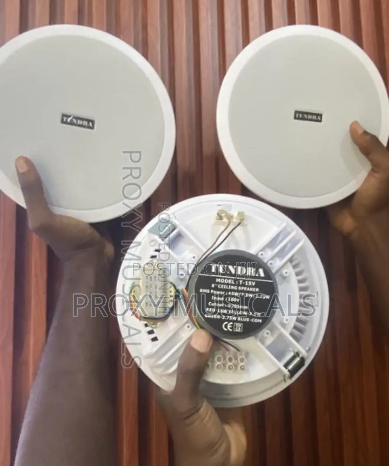 Tundra Ceiling Speaker 15 Watts Big Magnet 