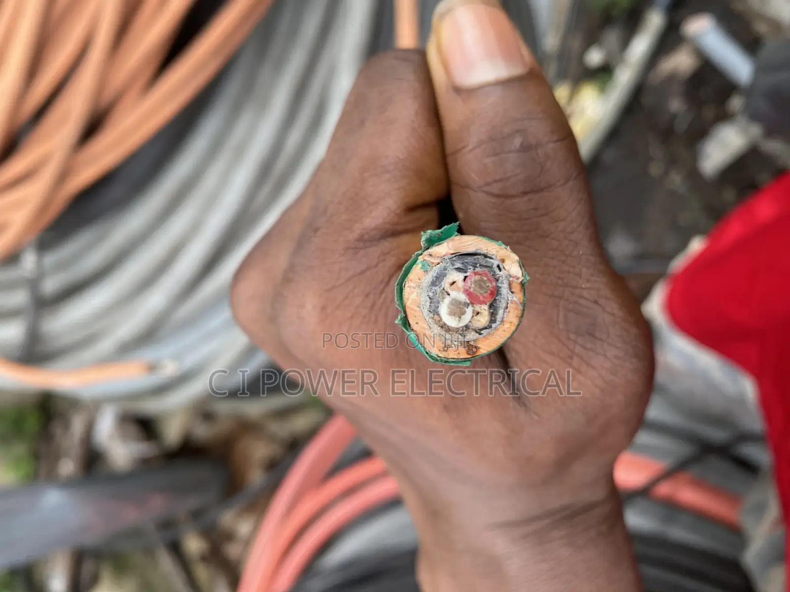 4mm 2 Core Armored Cable