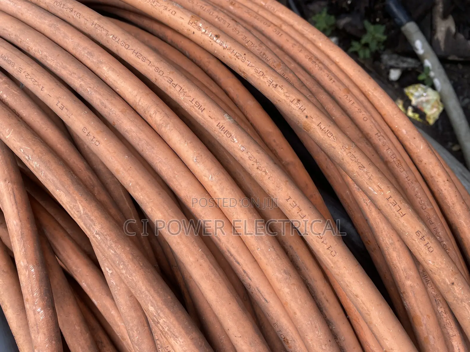 4mm 2 Core Armored Cable