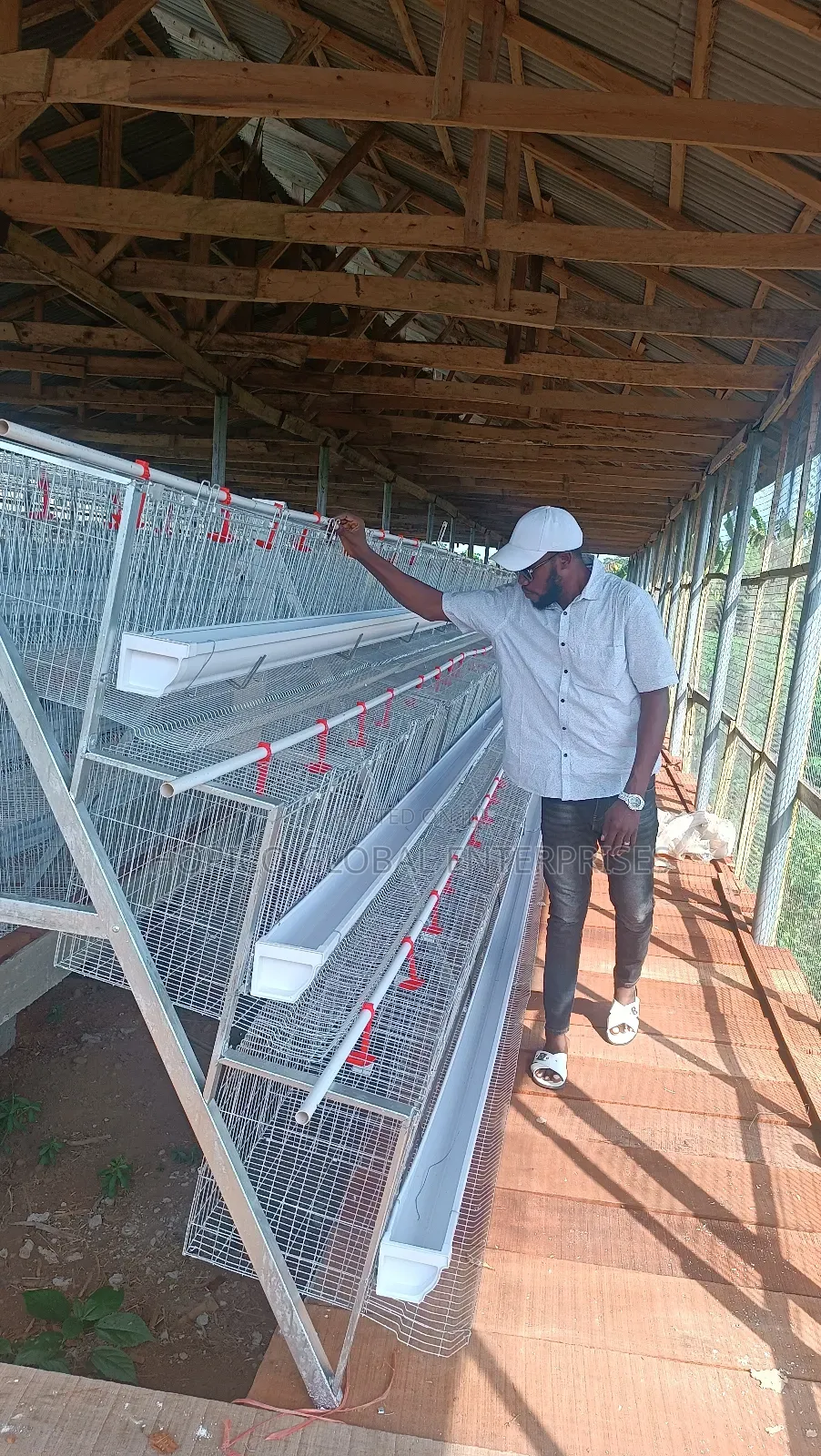 Corporate Poultry Cage O 120 Birds Capacity