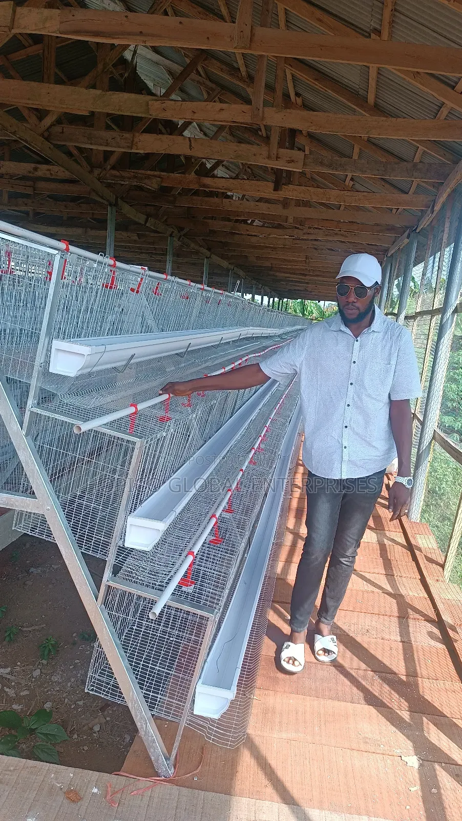 Corporate Poultry Cage O 120 Birds Capacity