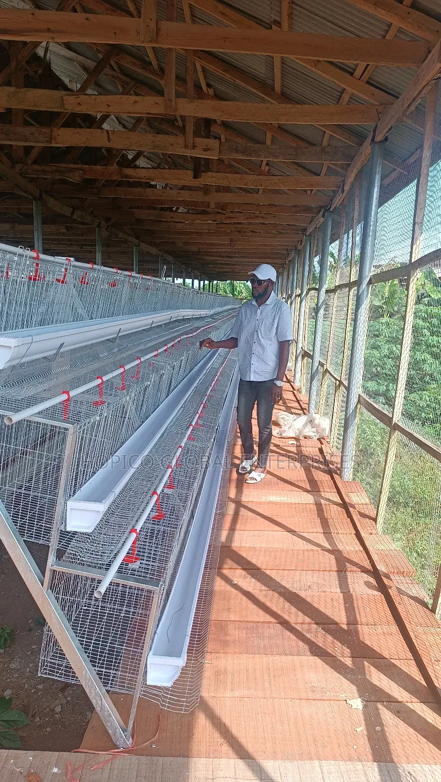 Corporate Poultry Cage O 120 Birds Capacity