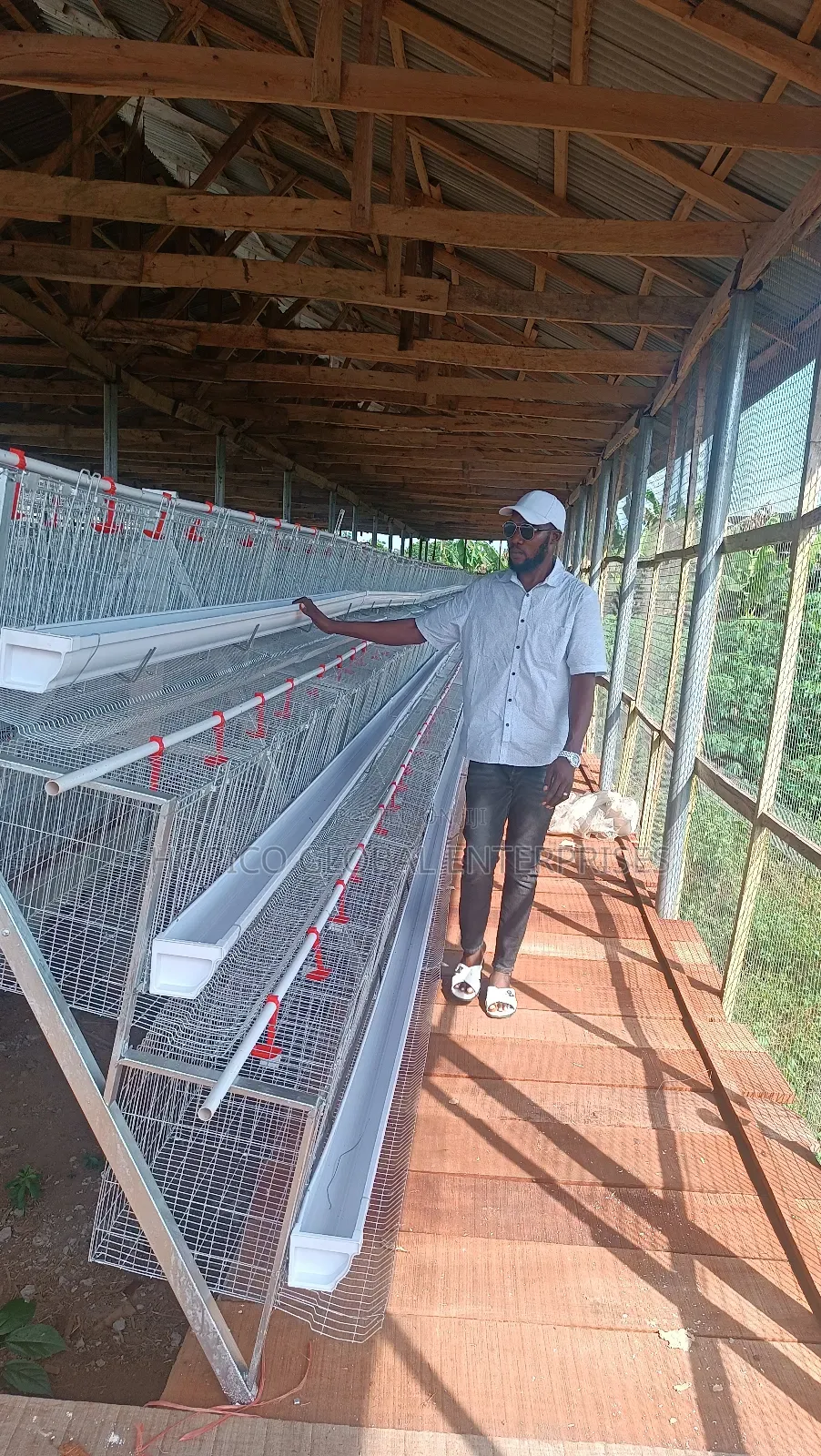 Corporate Poultry Cage O 120 Birds Capacity