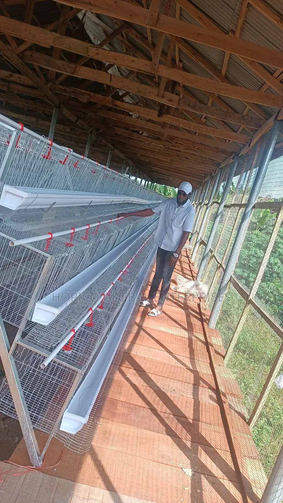 Corporate Poultry Cage O 120 Birds Capacity