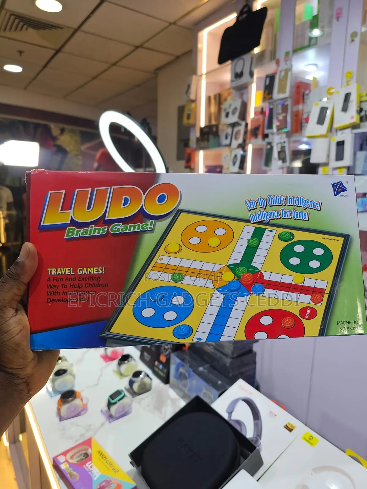 Ludo Brains Board Game