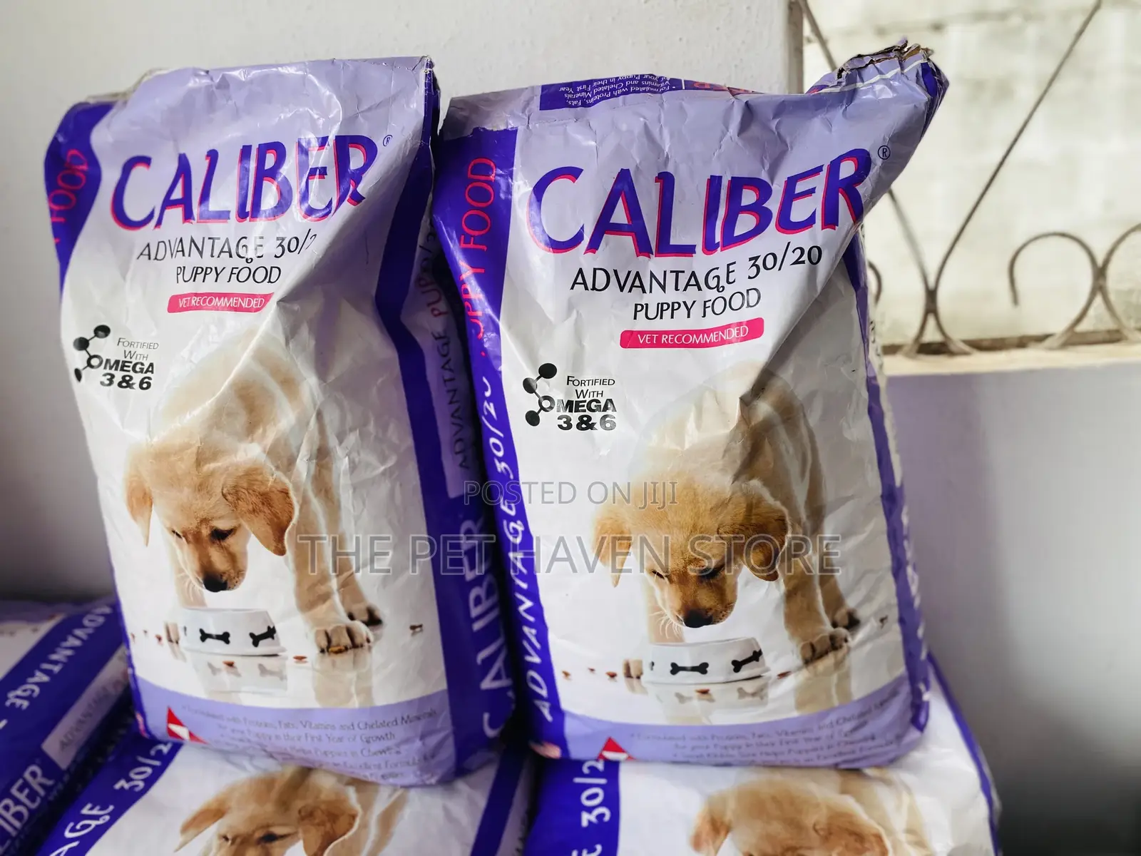Puppy Dry Food