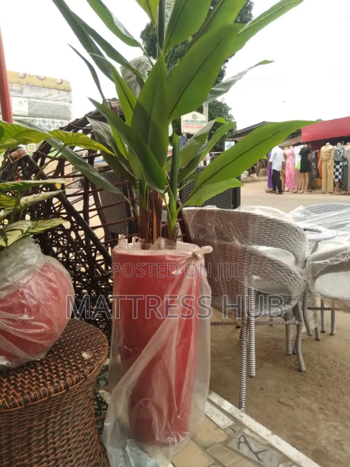 Elegant Artificial Palm Plant 6ft G.P Cone Flower Vase