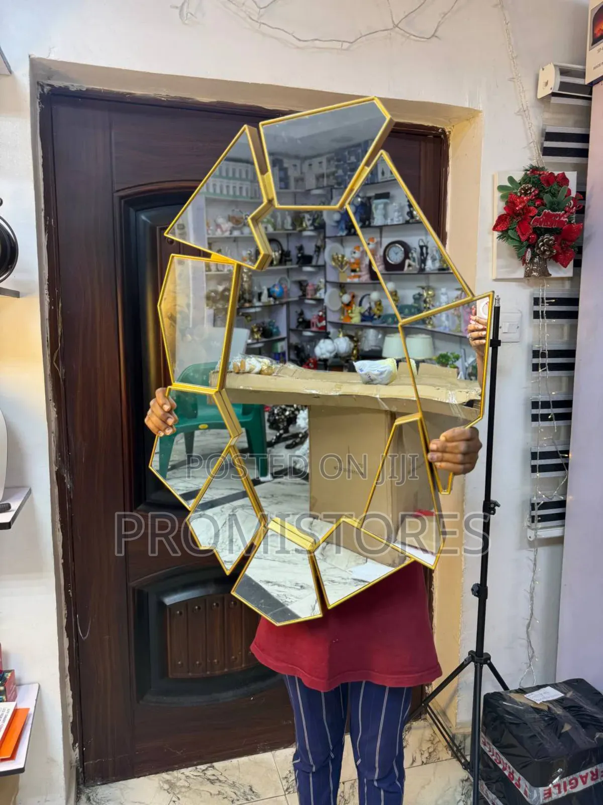 Cobweb Luxury Wall Mirror (Large Size)