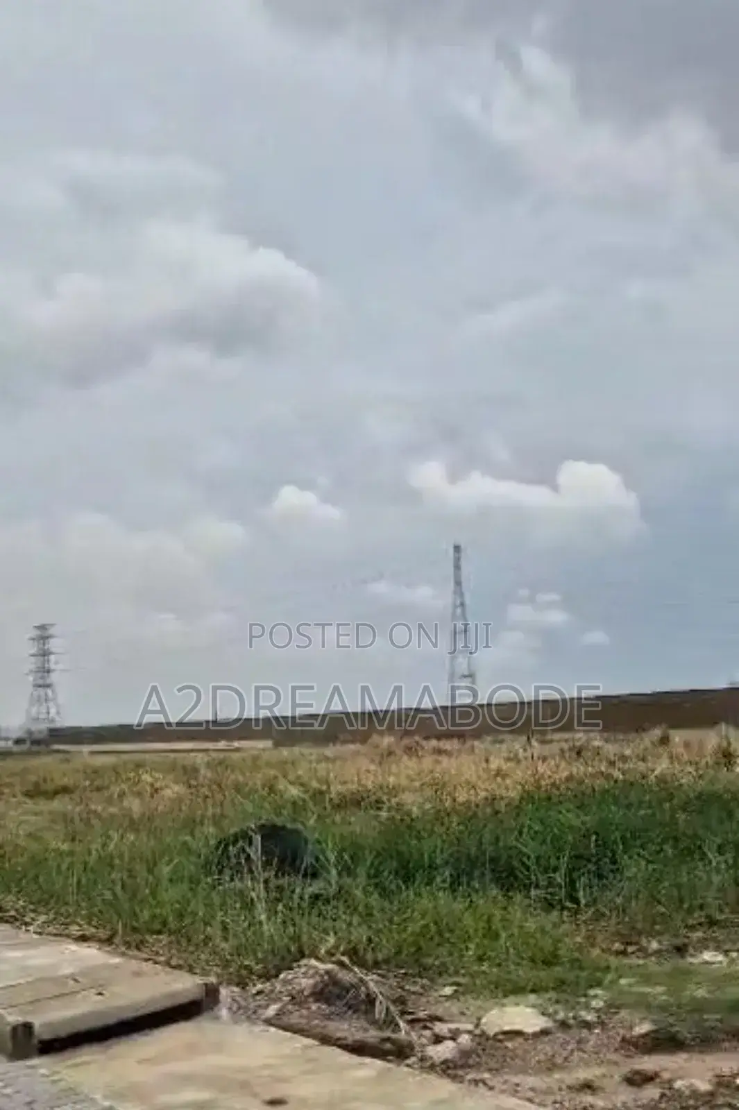 Banana Land