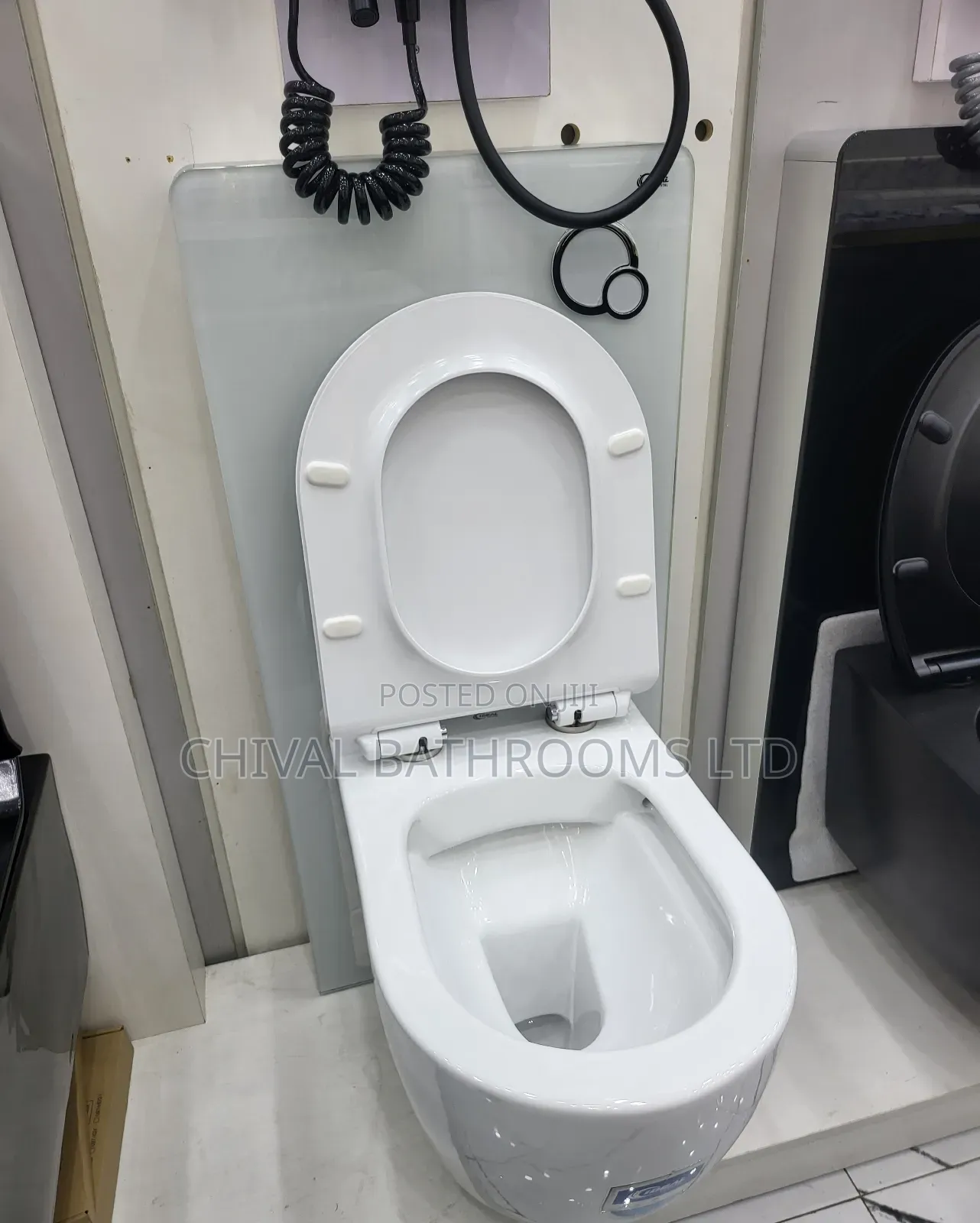 Wall Hung Visible Tank Wc