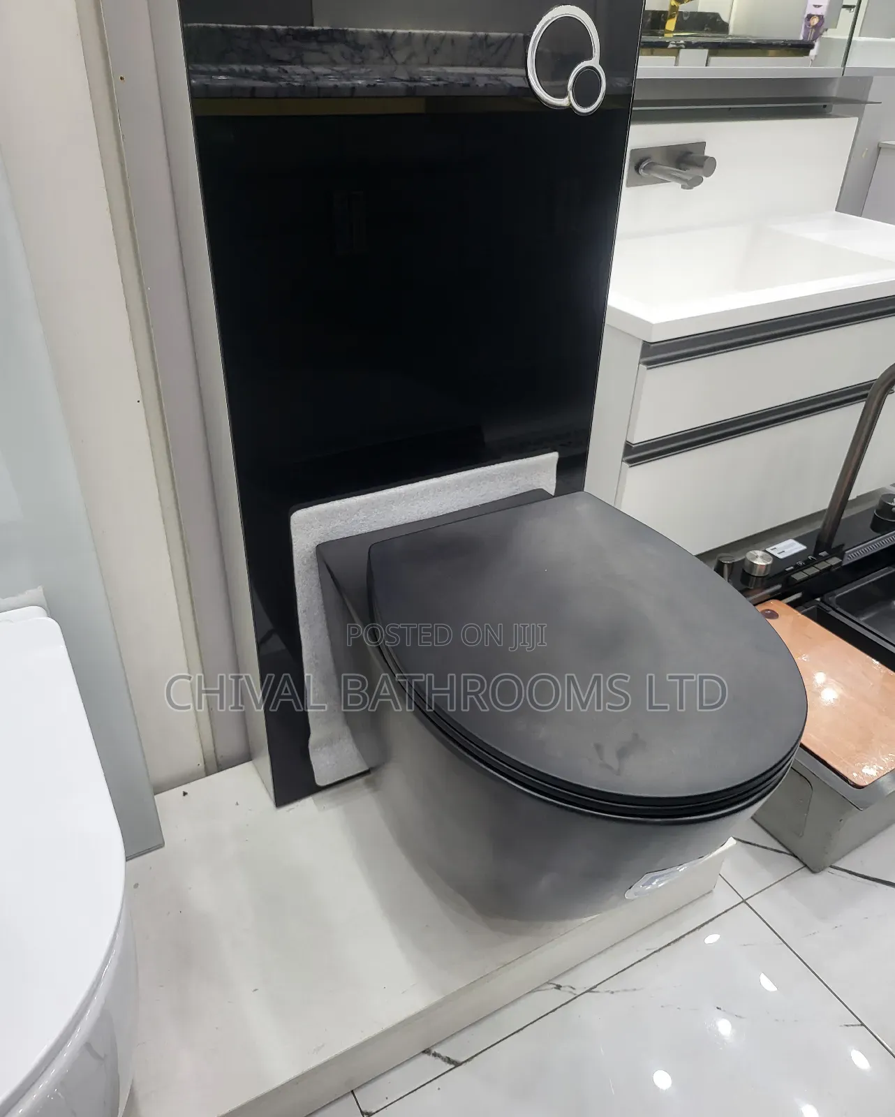 Wall Hung With Visible Wc