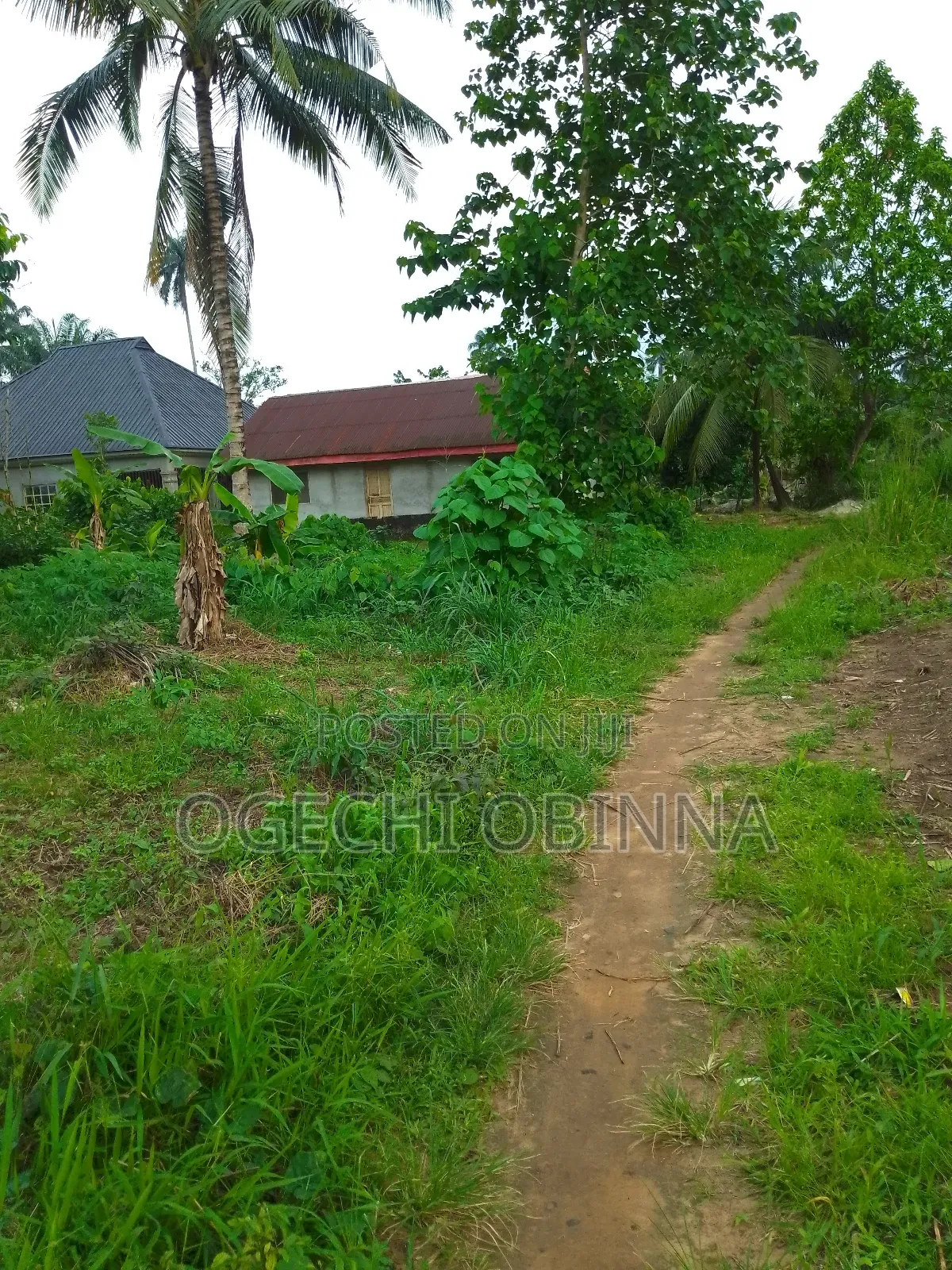 Buy and Pack in Land at Ulakwo Etche
