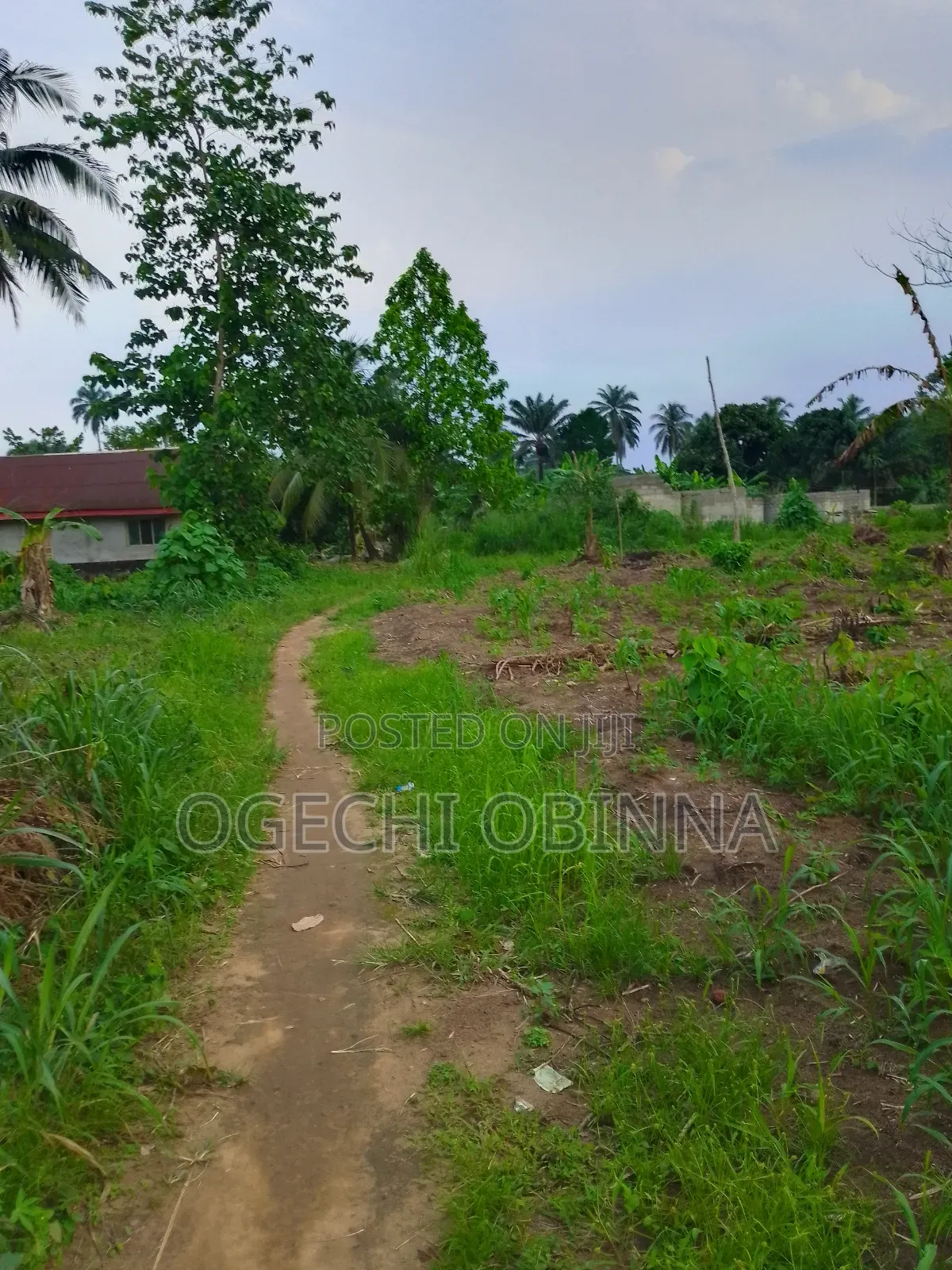 Buy and Pack in Land at Ulakwo Etche