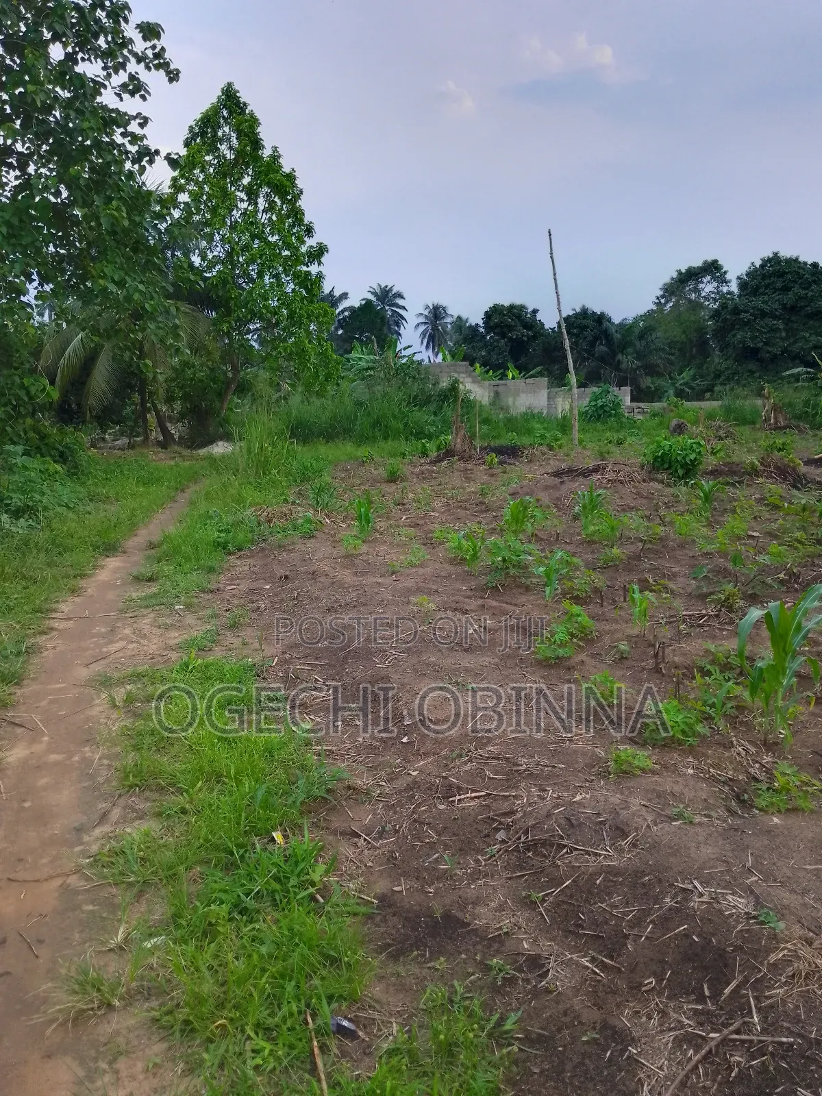 Buy and Pack in Land at Ulakwo Etche