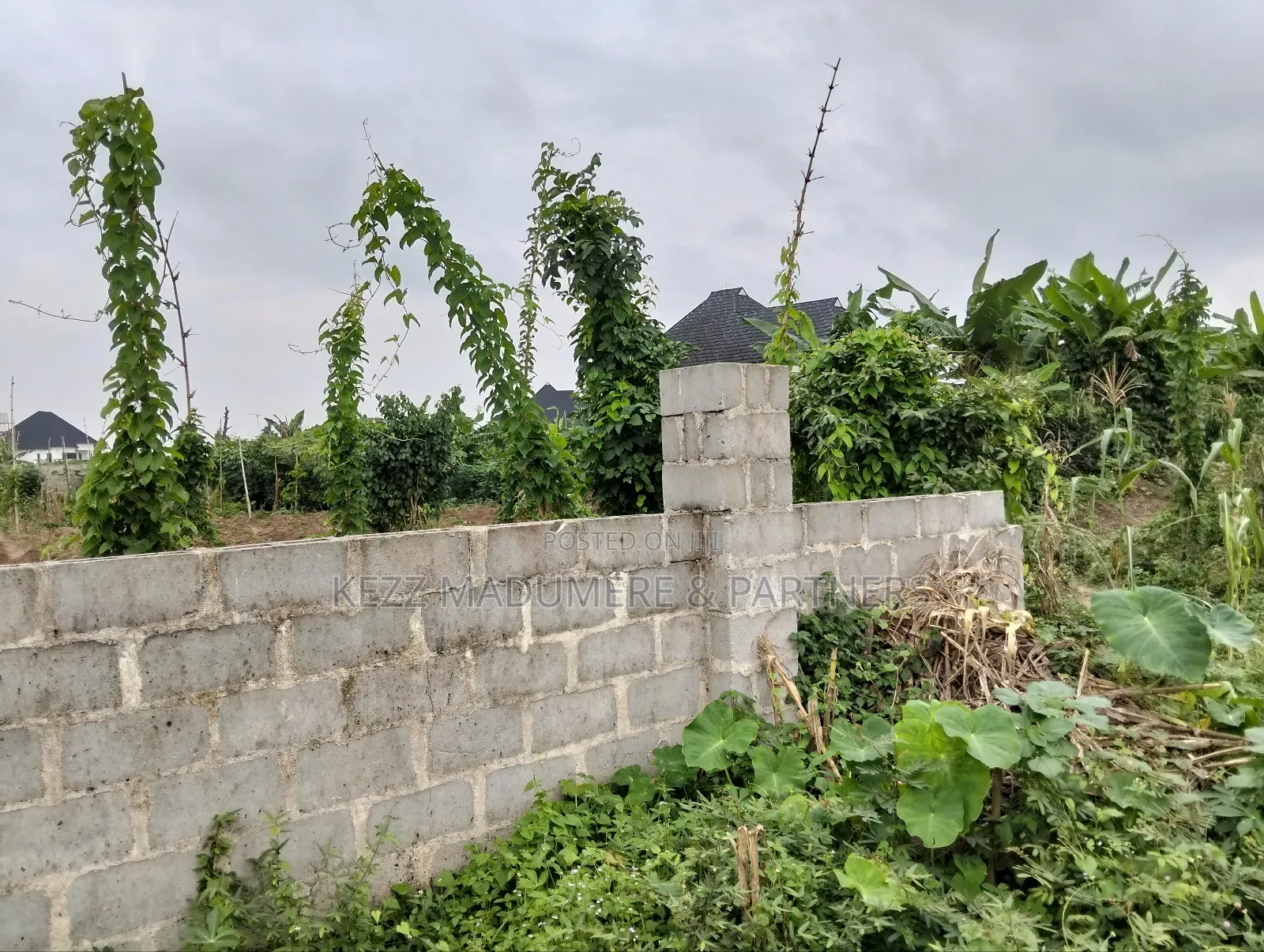 For Sale: Fenced 3 Plots at Gra Phase 8, Ph