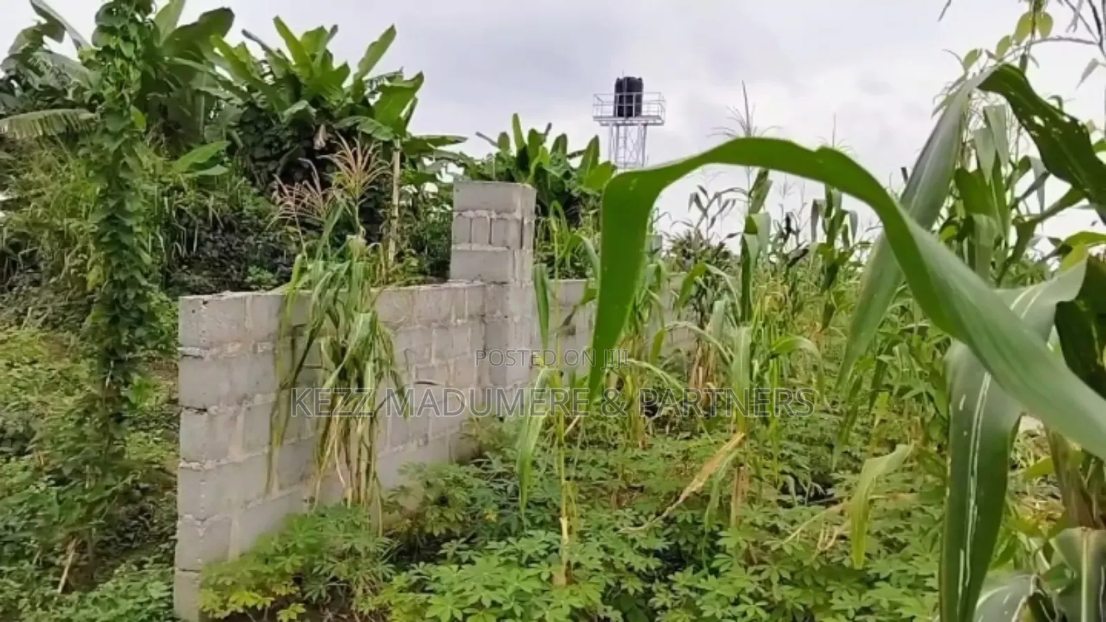 For Sale: Fenced 3 Plots at Gra Phase 8, Ph