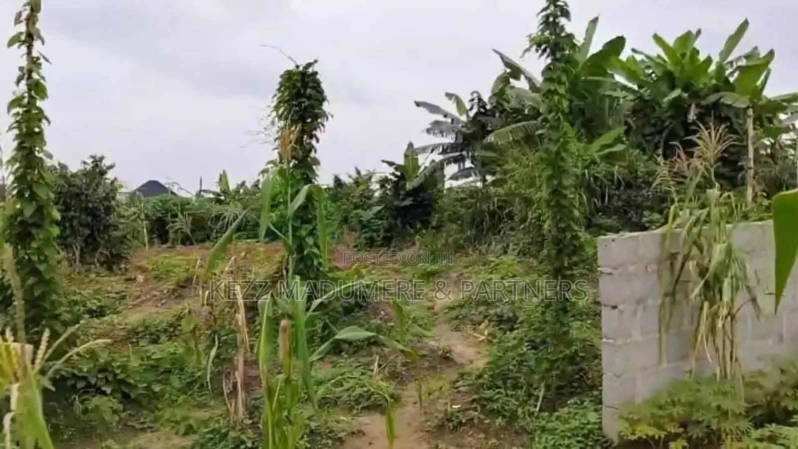 For Sale: Fenced 3 Plots at Gra Phase 8, Ph