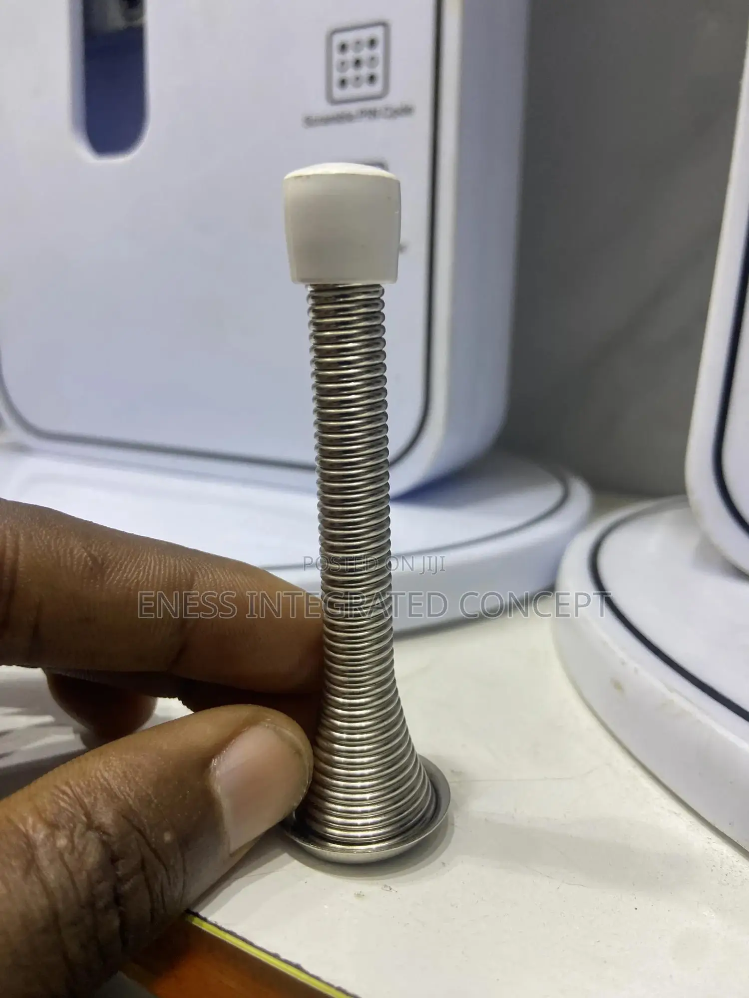 Stainless Steel Spring Hinges