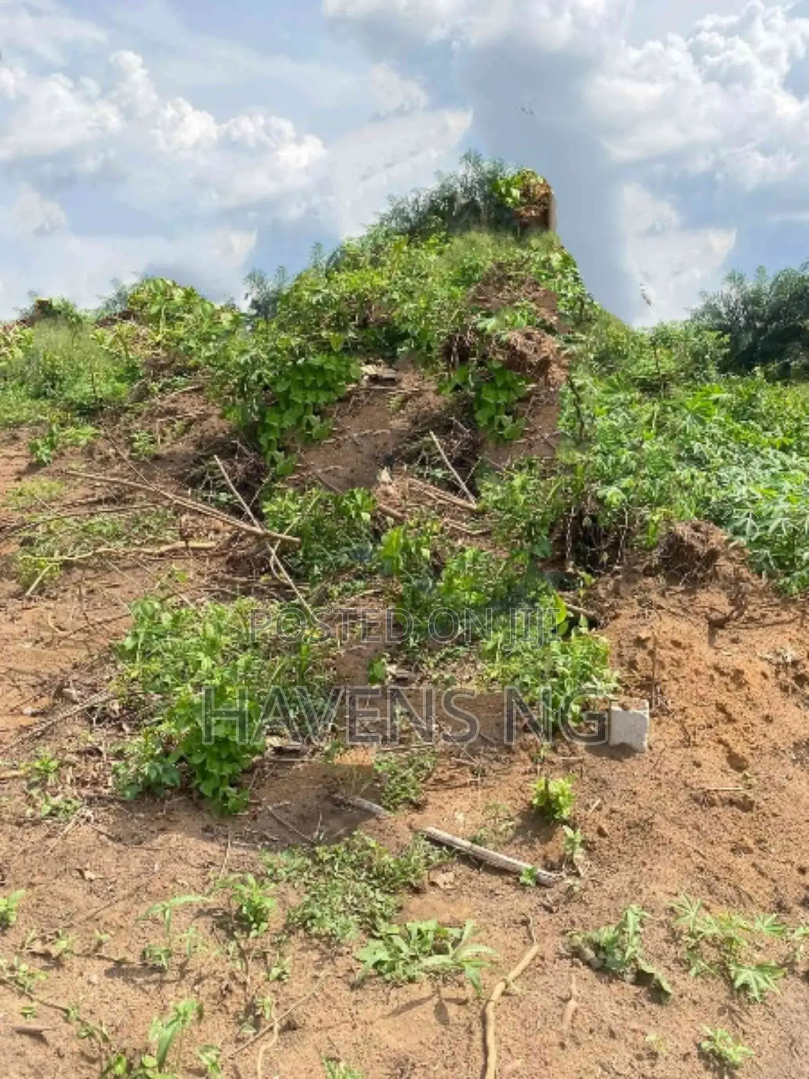 Land for Sale – Shell Cooperative, Port Harcourt