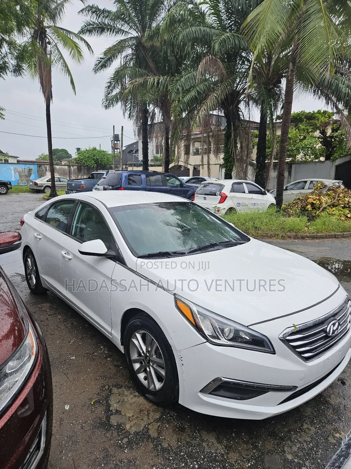 Hyundai Sonata SE 4dr Sedan (2.4L 4cyl 6A) 2015 White