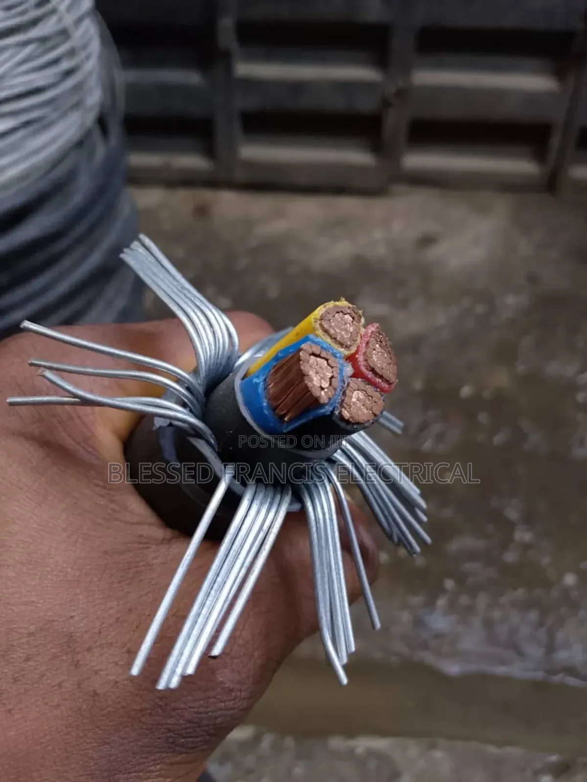 4x50mm Amordu Cables Coleman
