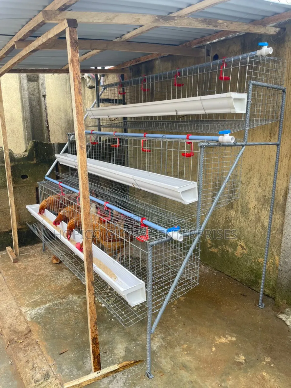 Starter Poultry Cage