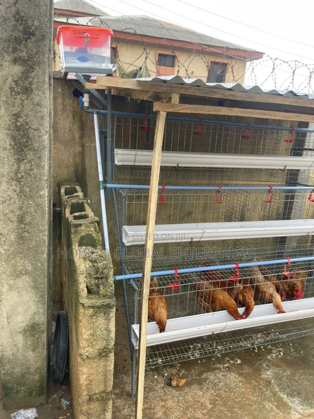 Starter Poultry Cage
