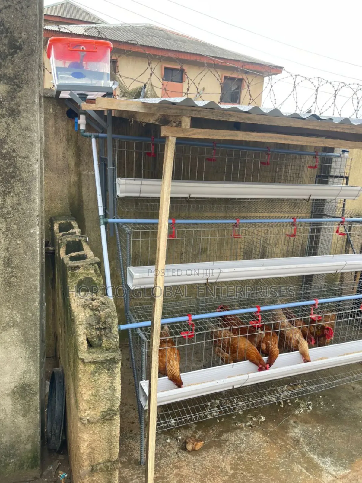 Starter Poultry Cage