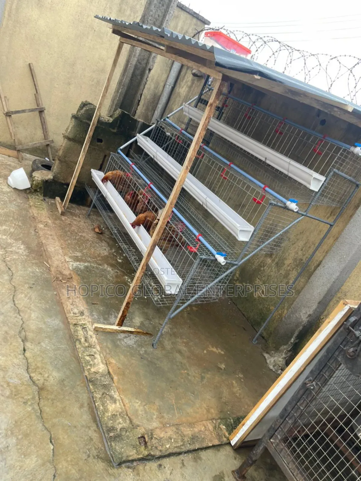 Starter Poultry Cage