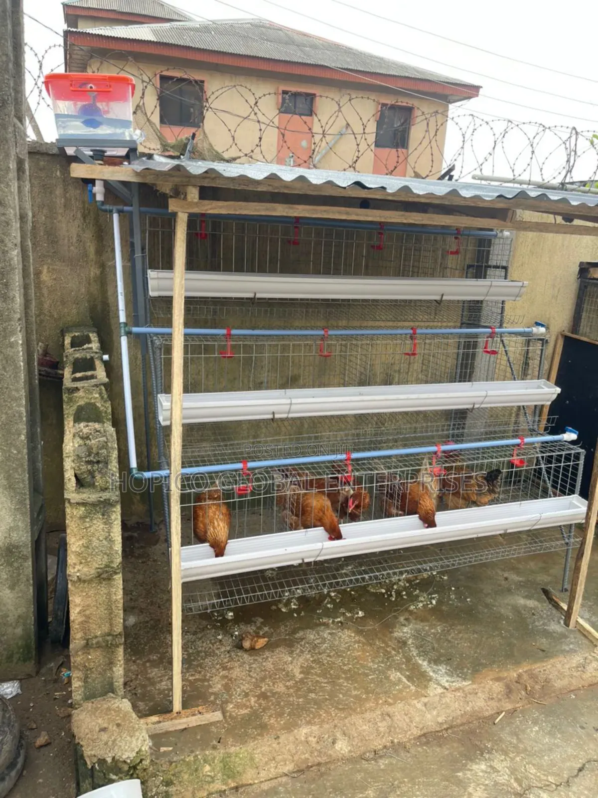 Starter Poultry Cage